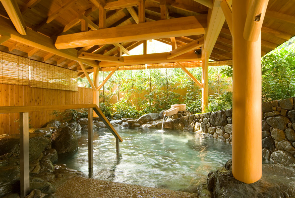 <p>２種の源泉を１２の湯舟で湯めぐり。露天風呂や陶器風呂など多彩な湯で、名湯をご堪能いただけます。日本医師会が認めた療養泉として、また飲み湯番付では東の横綱として、下部温泉は天下の名湯として有名な温泉です。</p>
<p> </p>
<p> </p>
